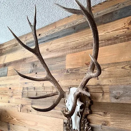 公寓 Casa Tschierva 达沃斯