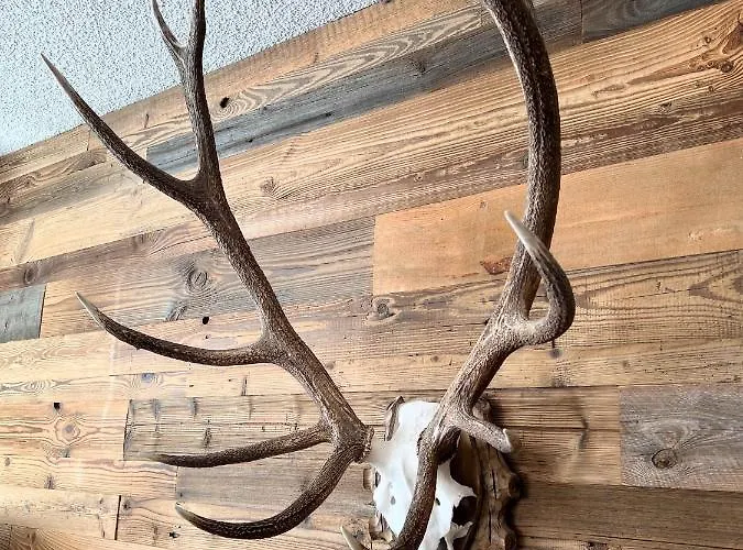 アパート Casa Tschierva ダヴォス・プラッツ